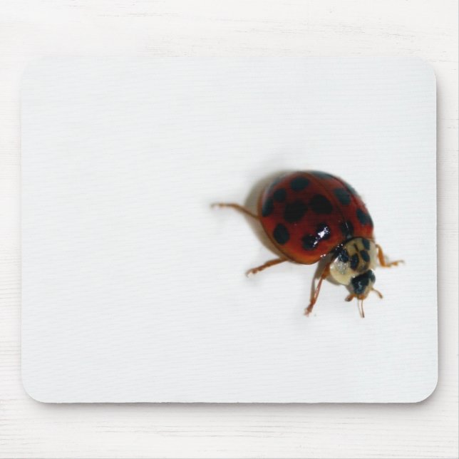 Ladybug Mouse Pad (Front)