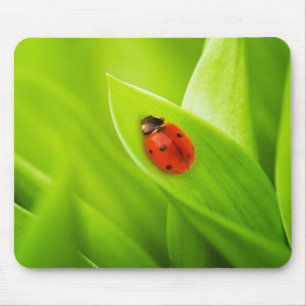 Ladybug Mouse Pad