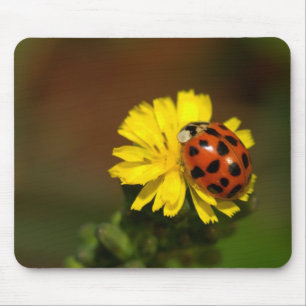 Ladybug Mouse Pad
