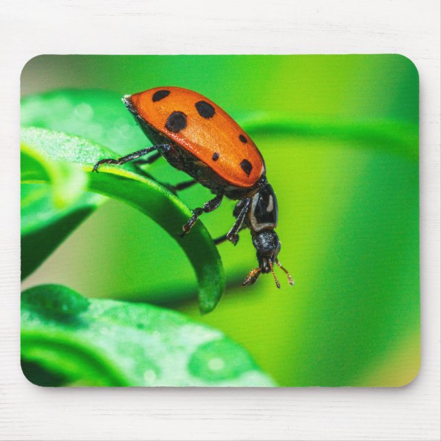 Ladybug Mouse Pad | Vibrant Macro Nature Photo (Front)
