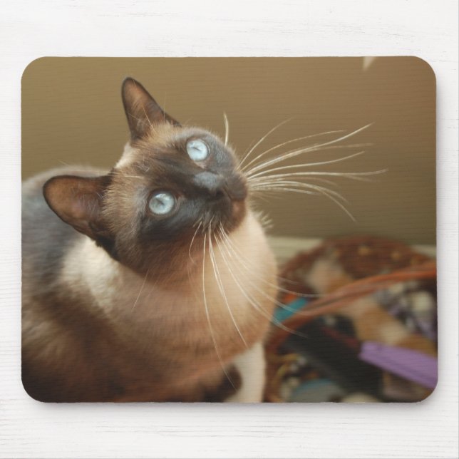 Ladybug Mousepad (Front)