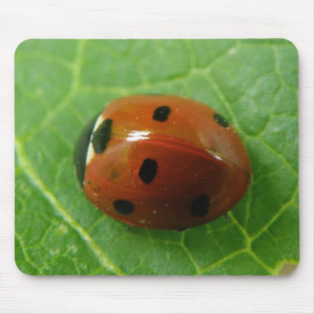 Ladybug Mousepad (Front)