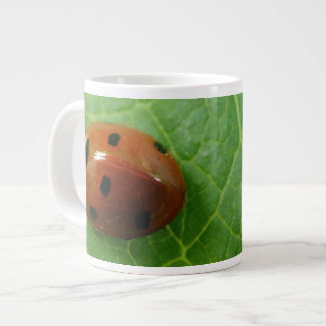 Ladybug Mug (Front Left)