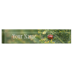 Ladybug Nameplate