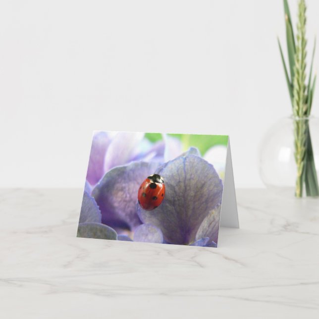 LadyBug Notecard (Front)
