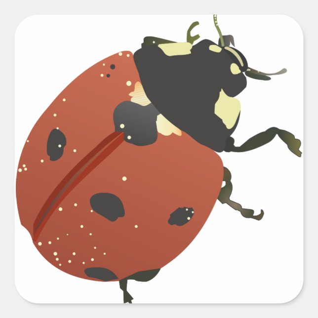 LadyBug Office Home  Personalise Destiny Destiny'S Square Sticker (Front)