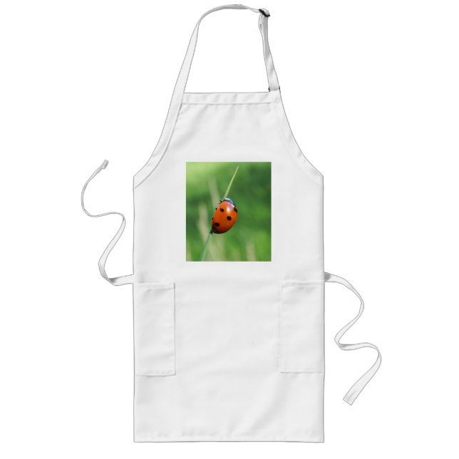 Ladybug on a blade of grass  Apron (Front)