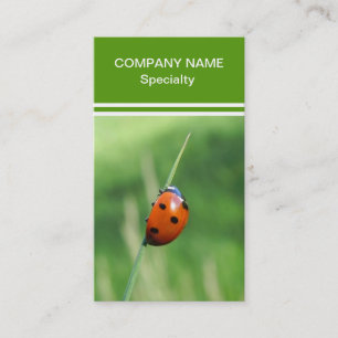 Ladybug on a blade of grass business card