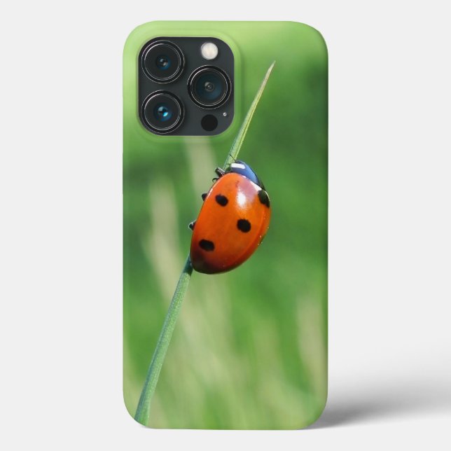 Ladybug on a blade of grass Case-Mate iPhone case (Back)