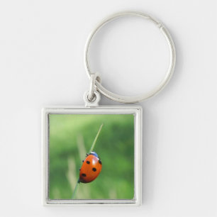 Ladybug on a blade of grass Keychain