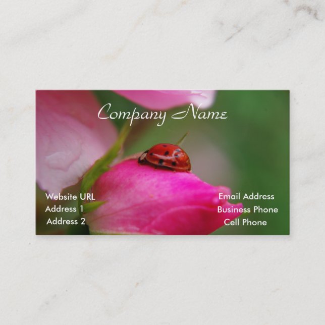 Ladybug on a rose business card (Front)
