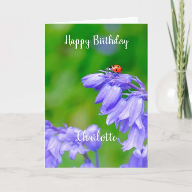 Ladybug on Bluebells Birthday Card (Front)