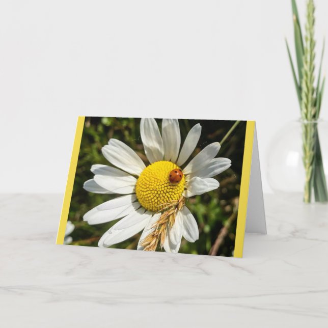 Ladybug on Daisy Card (Front)