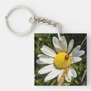 Ladybug on Daisy Key Ring