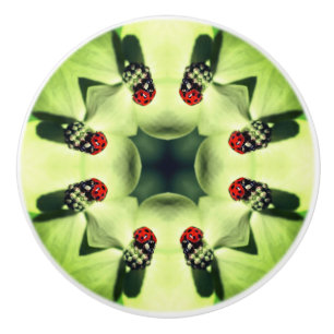 Ladybug On Dogwood Abstract Nature Art   Ceramic Knob