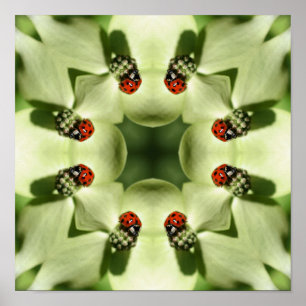 Ladybug On Dogwood Abstract Nature Mirror Art Poster