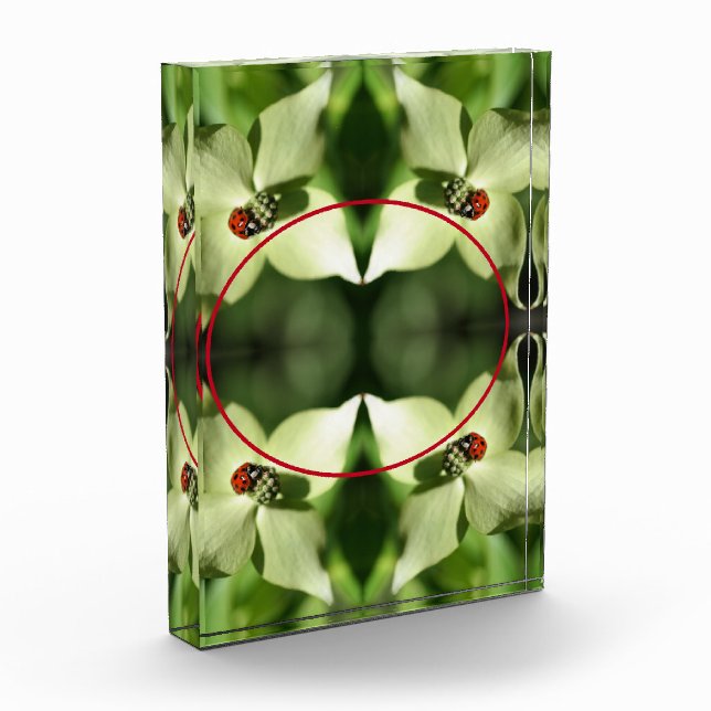 Ladybug On Dogwood Flower Add Your Own  Photo Block (Left)