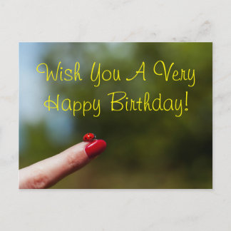 Ladybug on finger happy birthday wish postcard