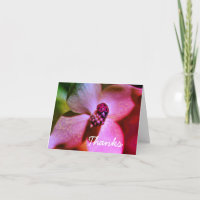 Ladybug On Flower Digital Art Thank You Card