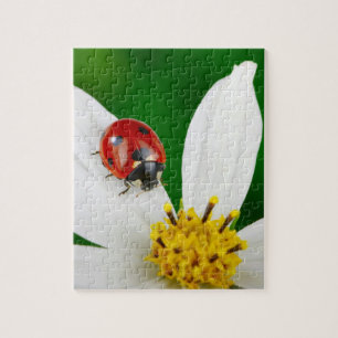 Ladybug on Flower Puzzle