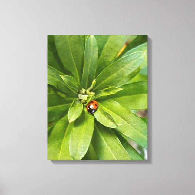 Ladybug on Flowers Canvas Print (Front)