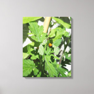 Ladybug on Flowers Canvas Print