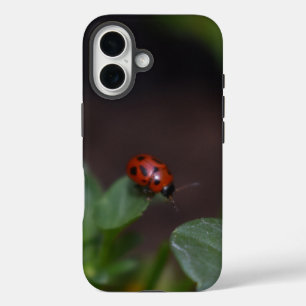 Ladybug on Flowers iPhone 16 Case