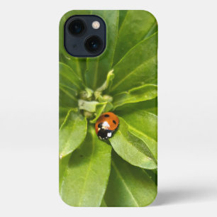 Ladybug on Flowers iPhone 13 Case