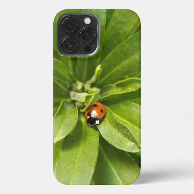 Ladybug on Flowers iPhone Case (Back)
