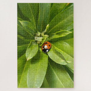 Ladybug on Flowers Jigsaw Puzzle
