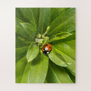 Ladybug on Flowers Jigsaw Puzzle