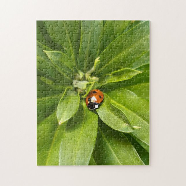 Ladybug on Flowers Jigsaw Puzzle (Vertical)