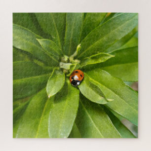 Ladybug on Flowers Jigsaw Puzzle