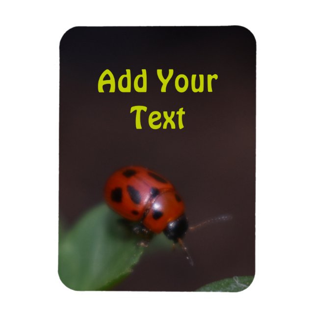 Ladybug on Flowers Magnet (Vertical)