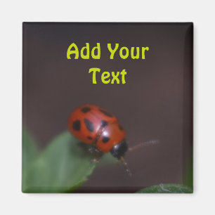 Ladybug on Flowers Magnet