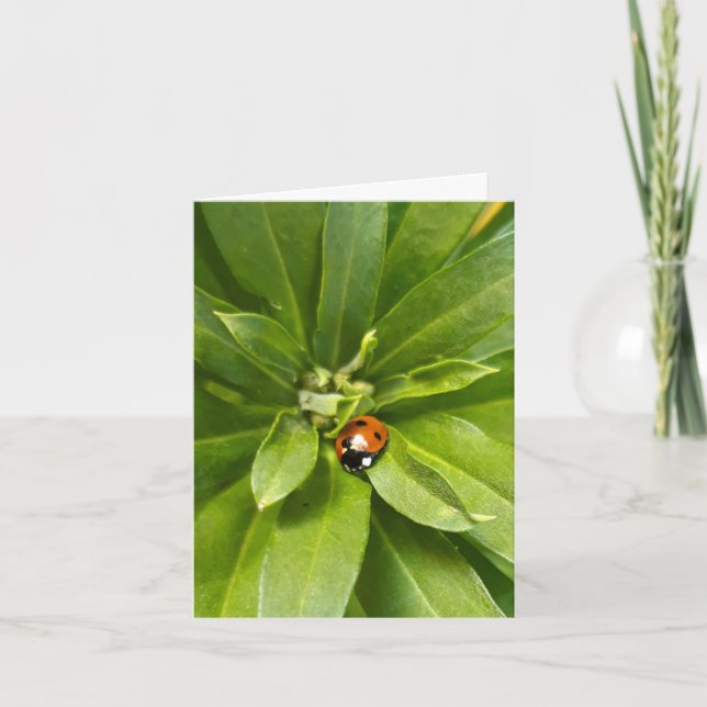 Ladybug on Flowers Note Card (Front)