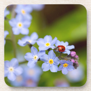 Ladybug on Forget-me-not Coaster