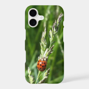 Ladybug on Grass Case-Mate iPhone Case