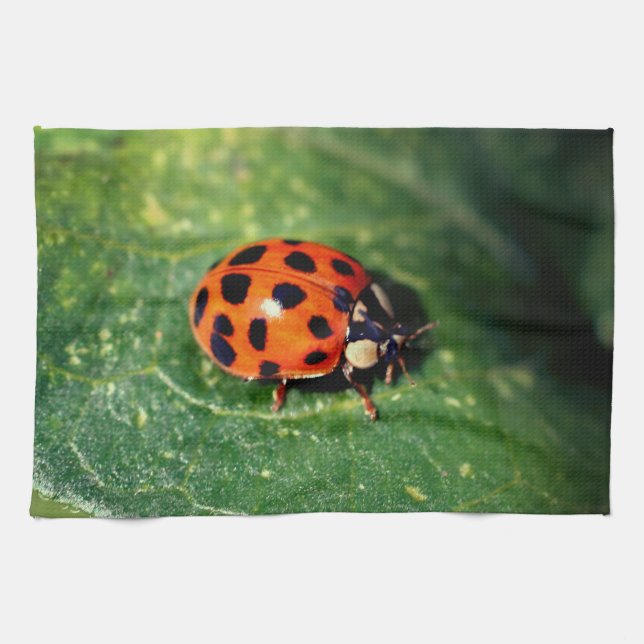 Ladybug On Leaf Close Up  Tea Towel (Horizontal)