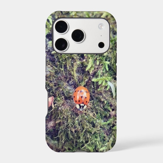 Ladybug on moss photography (Back)