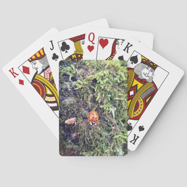 Ladybug on moss photography playing cards (Back)