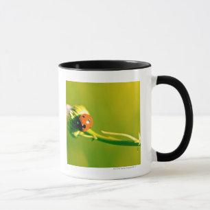 Ladybug on sprig mug