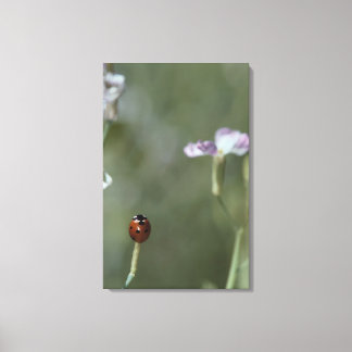 Ladybug on Stem Canvas Print