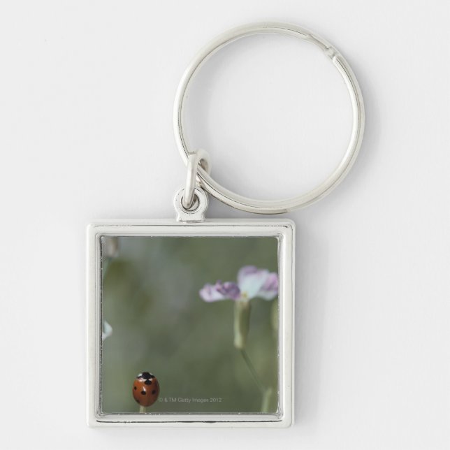 Ladybug on Stem Key Ring (Front)
