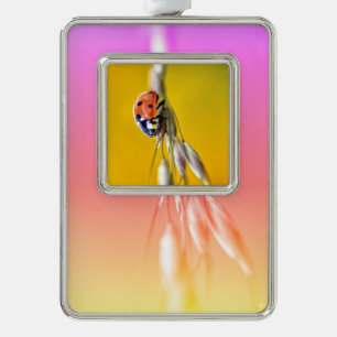 Ladybug on stem postcard square sticker T-Shirt Ma Silver Plated Framed Ornament
