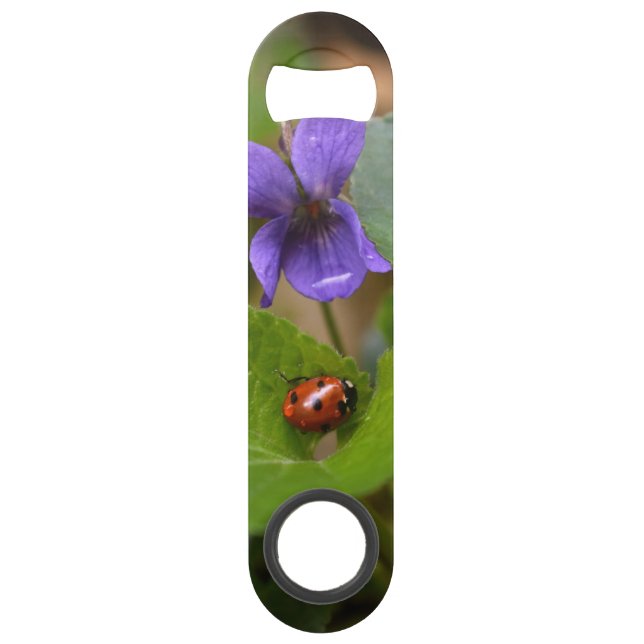 Ladybug on Sweet Violet Flowers (Front)