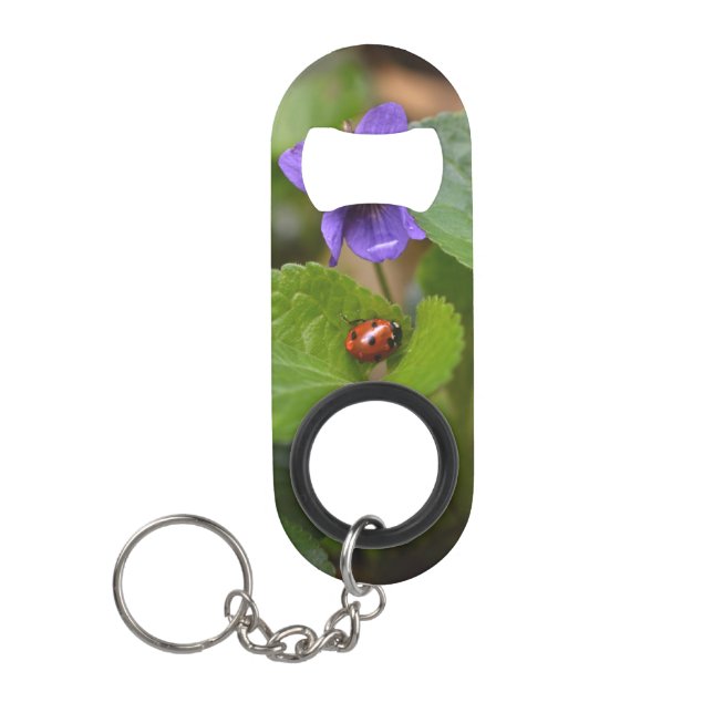 Ladybug on Sweet Violet Flowers (Front)