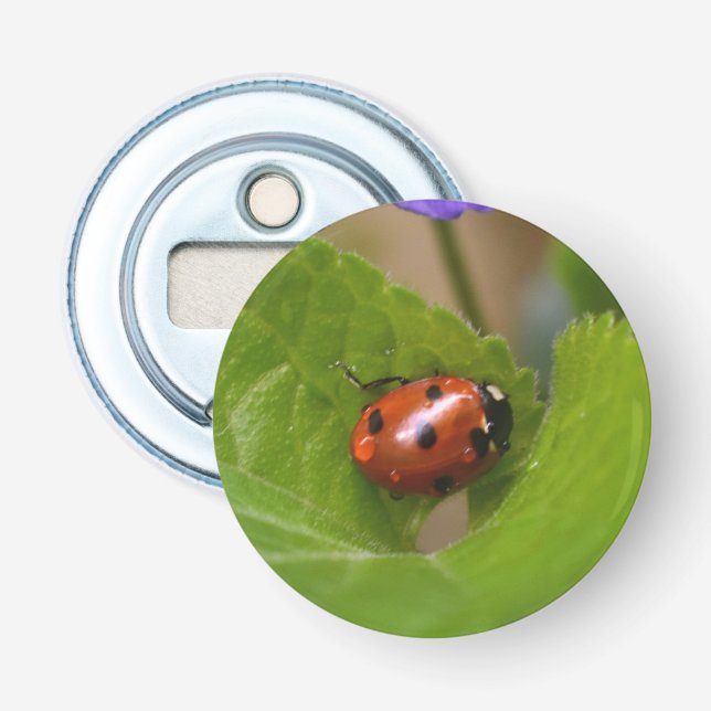 Ladybug on Sweet Violet Flowers Bottle Opener (Front)