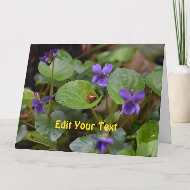 Ladybug on Sweet Violet Flowers Card (Front)