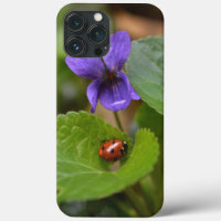 Ladybug on Sweet Violet Flowers